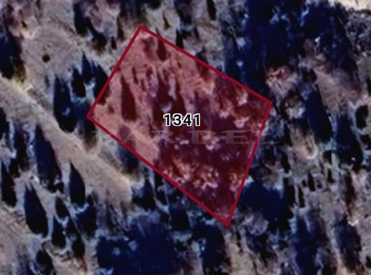 AKÖREN BELKUYU MÜSTAKİL MERAYA SIFIR 1132m2 SATILIK BAĞ