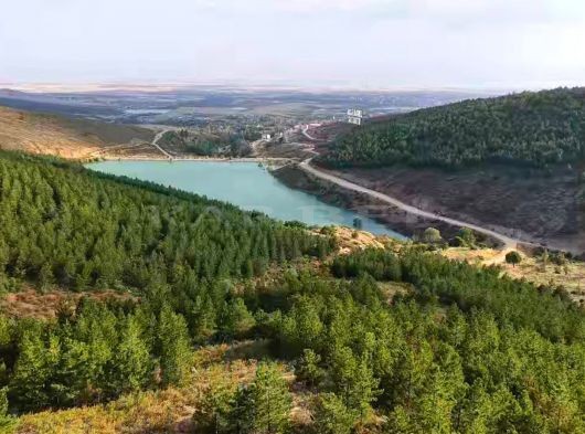 HÜYÜK SULUDERE'DE ÇAM KOKULARI İLE BULUNMAZ BİR YAŞAM FIRSATI