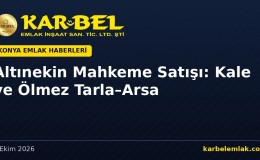 Altınekin Mahkeme Satışı: Kale ve Ölmez’de Tarla–Arsa (13–22 Ekim 2026)